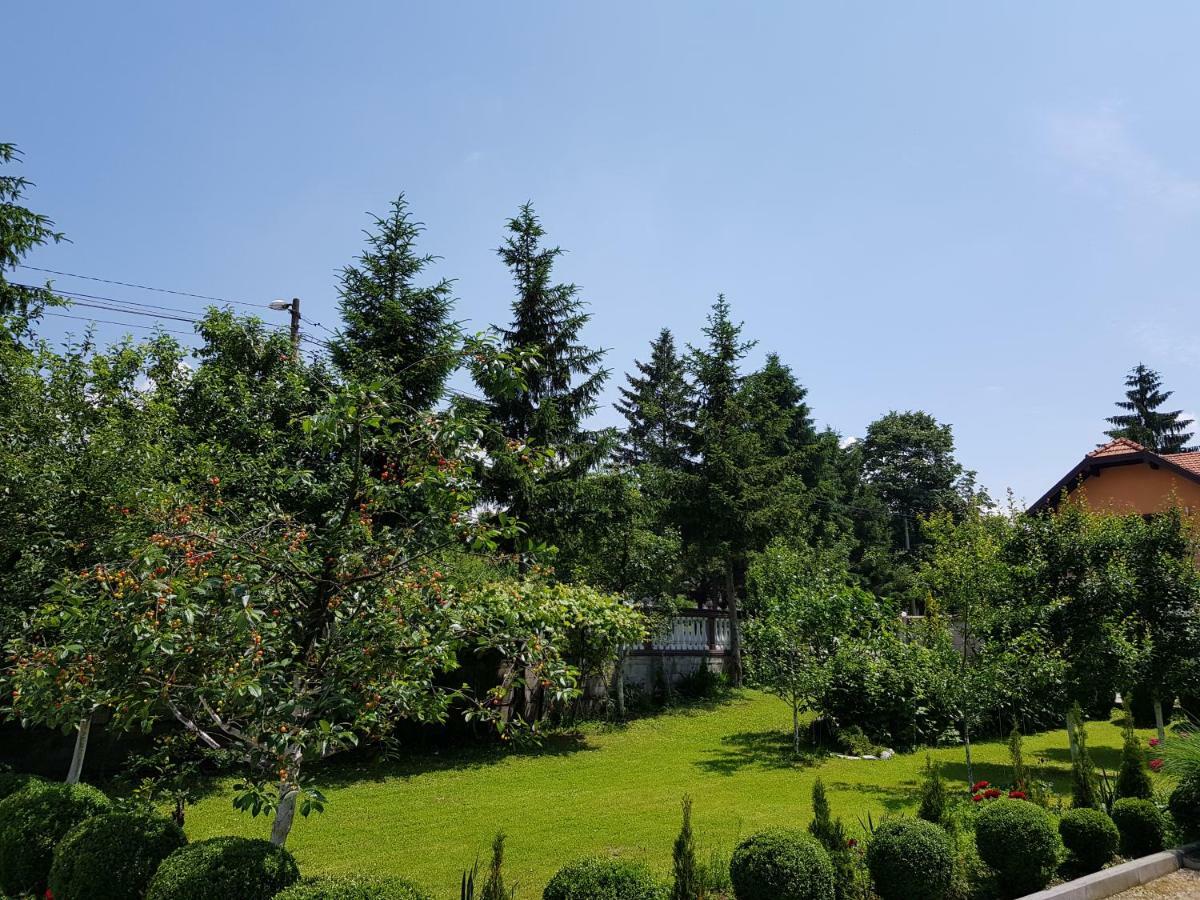 Apartment Paradise Enver Dubrave Gornje Exterior photo